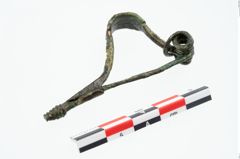 Foto von Bronzepaukenfibel (NHMW-PRAE-025898)